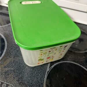 Tupperware Green Lid with Illustrated Clear Container